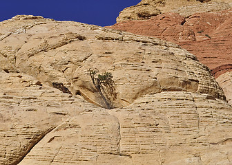 Image showing rocks 