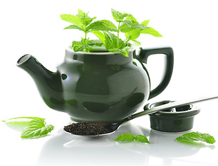 Image showing tea composition