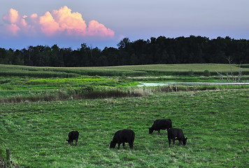 Image showing summer country sunset 