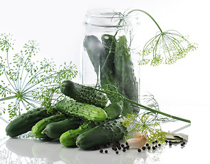 Image showing Pickle ingredients