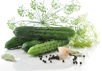 Image showing Pickle ingredients