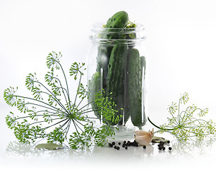 Image showing Pickle ingredients