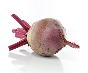 Image showing beet 