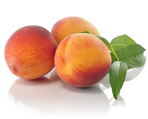 Image showing peaches