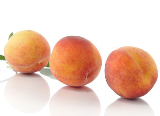 Image showing peaches