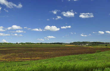 Image showing country summer landscape