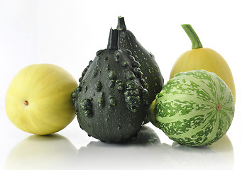 Image showing gourds