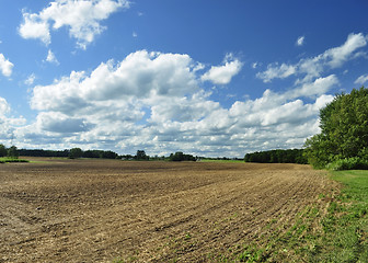 Image showing country summer landscape