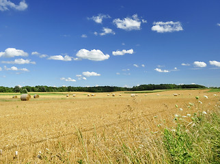 Image showing country summer landscape 
