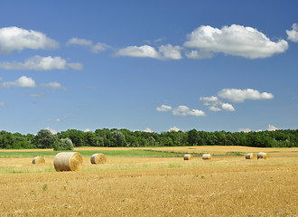 Image showing country summer landscape