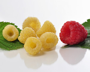 Image showing raspberry