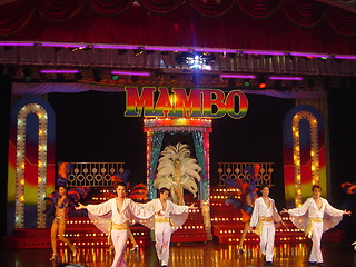 Image showing Thai Performance