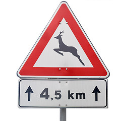 Image showing Wildlife danger sign