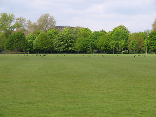 Image showing Urban Park