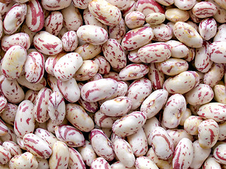 Image showing Beans salad