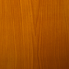 Image showing Wood picture