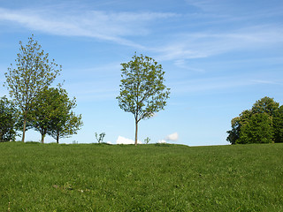 Image showing Primrose Hill, London