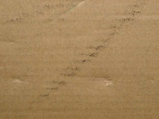 Image showing Corrugated cardboard