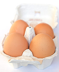 Image showing Eggs picture