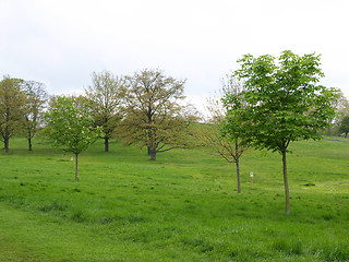 Image showing Primrose Hill London