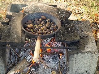 Image showing Barbecue picture