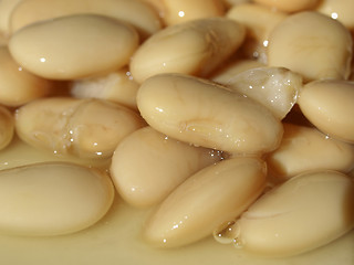 Image showing Beans salad