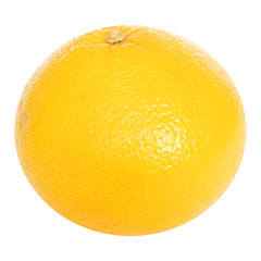 Image showing Grapefruit picture