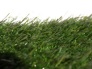 Image showing Artificial grass