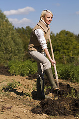 Image showing Gardening