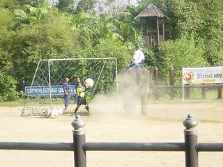 Image showing Elephant Show