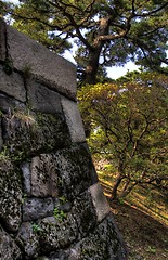 Image showing Imperior palace and garden