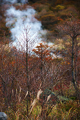 Image showing Hakone hot springs