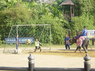 Image showing Elephant Show