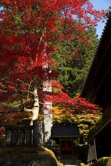 Image showing mausoleums of the Tokugawa Shoguns