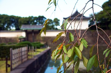 Image showing Imperior palace and garden