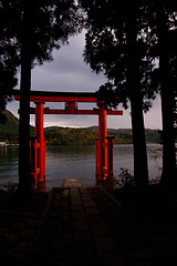 Image showing night torii in water