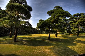 Image showing Imperior palace and garden