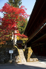 Image showing mausoleums of the Tokugawa Shoguns