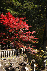 Image showing mausoleums of the Tokugawa Shoguns