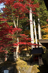 Image showing mausoleums of the Tokugawa Shoguns