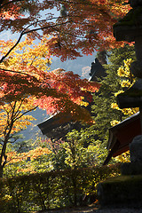 Image showing mausoleums of the Tokugawa Shoguns