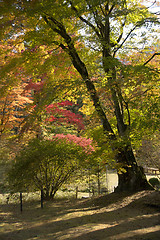 Image showing imperior villa in nikko