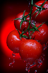 Image showing tomatos