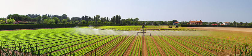 Image showing Panoramic irrigation field