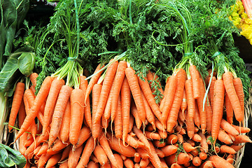 Image showing Carrots