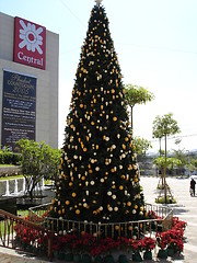 Image showing Christmas Tree