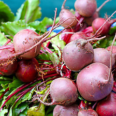 Image showing Beetroot assortment