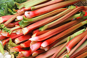 Image showing Rhubarb