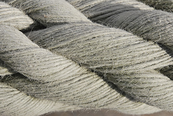Image showing Fibers of Hempen Rope