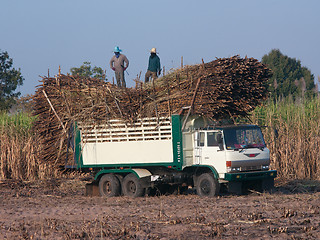 Image showing Truck loaded with sugarcane